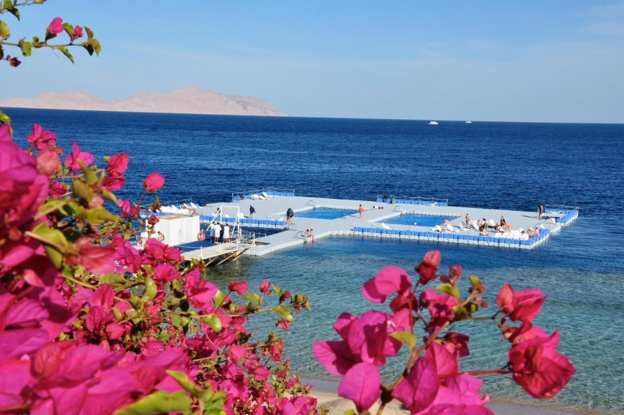 Private One Bedroom Domina Coral Bay Шарм-еш-Шейх Екстер'єр фото